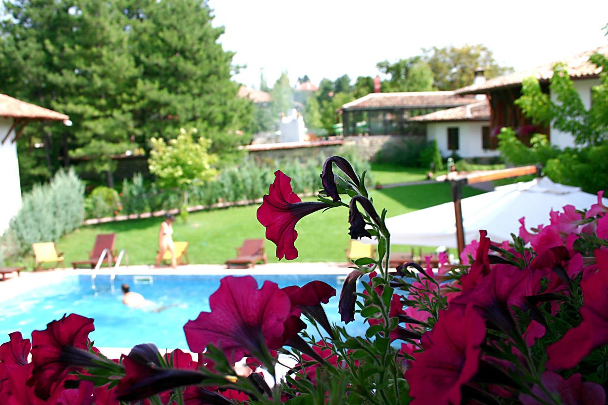 Hotel Izvora - Garden Retreat Arbanassi Exterior foto